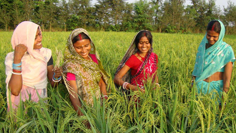 in-womeninthefarm